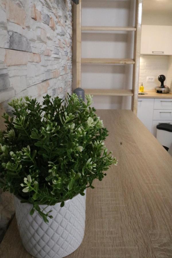 Studio Apartman Chiara Zagreb Luaran gambar